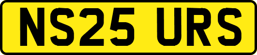 NS25URS