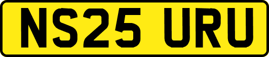 NS25URU