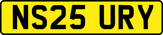 NS25URY