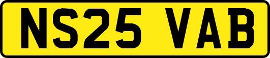 NS25VAB