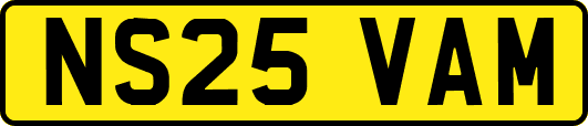 NS25VAM