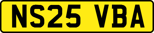 NS25VBA