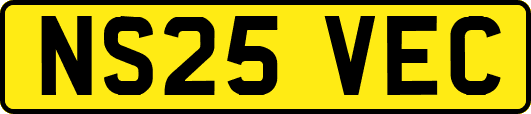 NS25VEC