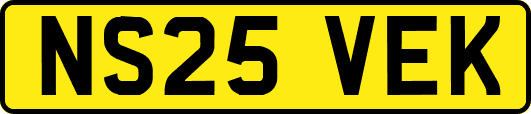 NS25VEK