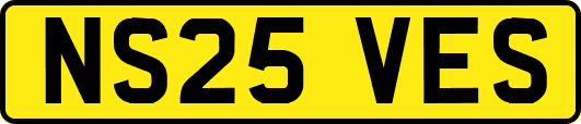 NS25VES