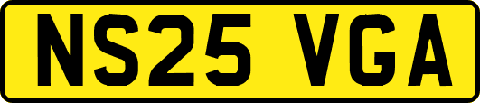 NS25VGA