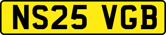 NS25VGB