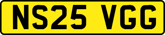 NS25VGG