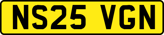 NS25VGN