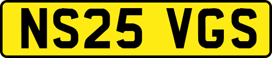 NS25VGS