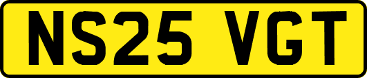 NS25VGT