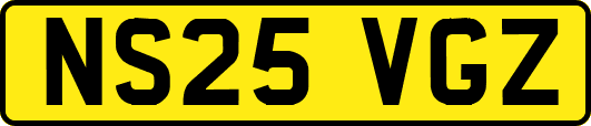NS25VGZ