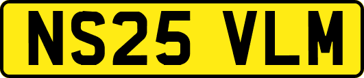 NS25VLM
