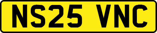 NS25VNC