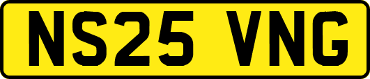NS25VNG