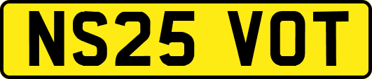NS25VOT