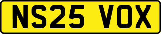 NS25VOX