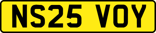 NS25VOY