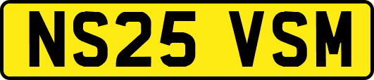 NS25VSM