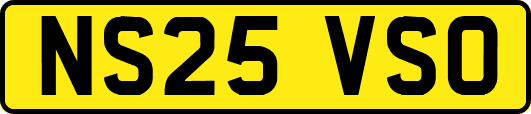 NS25VSO