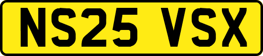 NS25VSX