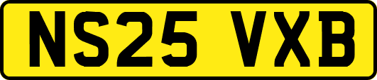 NS25VXB