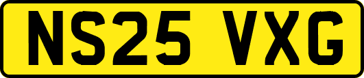 NS25VXG