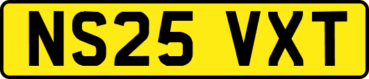 NS25VXT