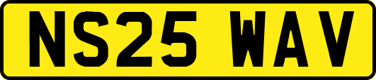 NS25WAV