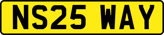NS25WAY