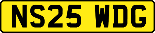 NS25WDG