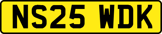 NS25WDK