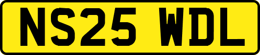 NS25WDL
