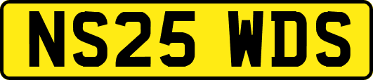 NS25WDS