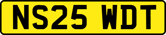 NS25WDT