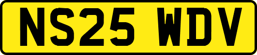 NS25WDV