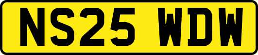 NS25WDW