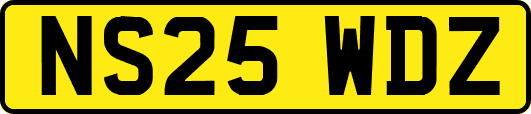 NS25WDZ