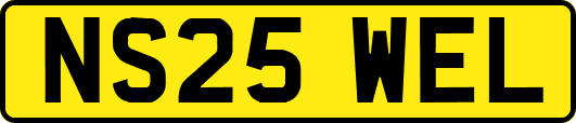 NS25WEL