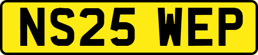 NS25WEP