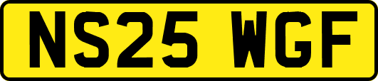 NS25WGF