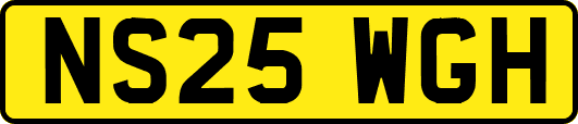 NS25WGH
