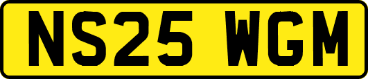 NS25WGM