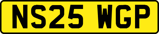 NS25WGP