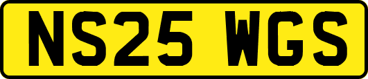 NS25WGS