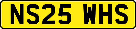 NS25WHS