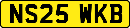 NS25WKB