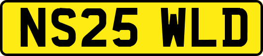 NS25WLD