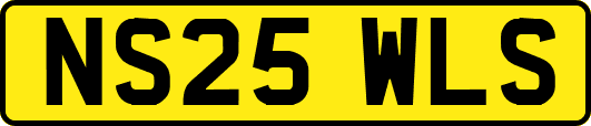 NS25WLS
