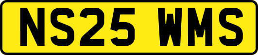 NS25WMS